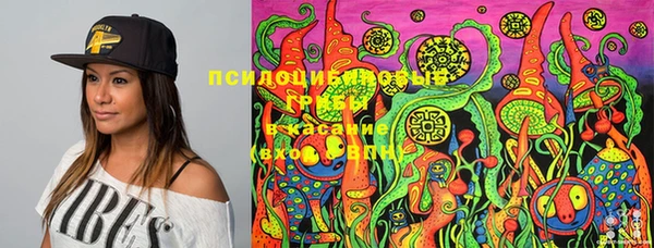 мет Абинск