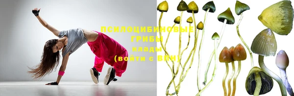 марки nbome Новозыбков