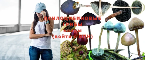 молекула духа Абдулино