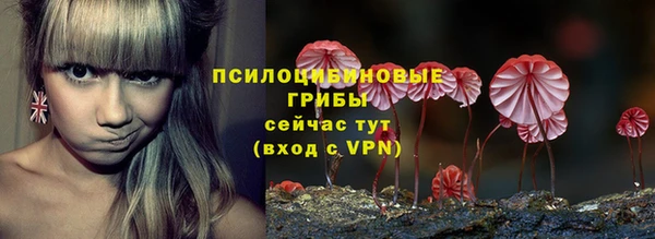 молекула духа Абдулино
