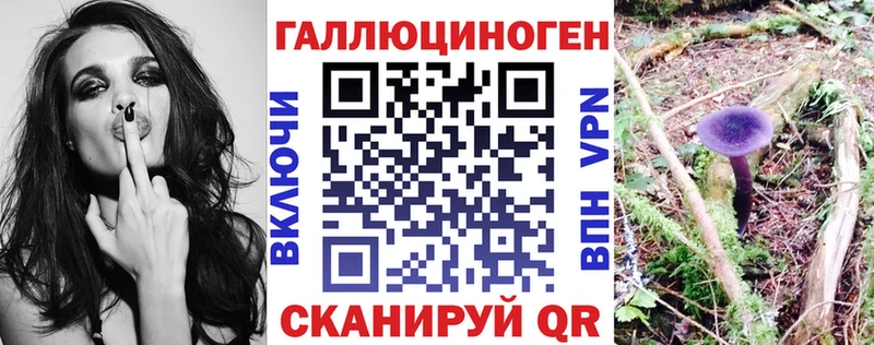 Галлюциногенные грибы ЛСД  darknet Telegram  Воронеж 